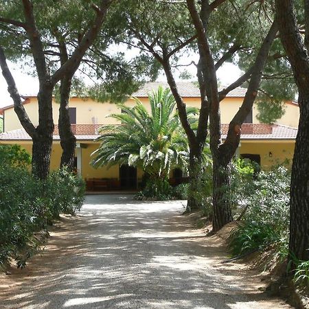 Podere Oslavia Az.Agr.Bio Giannini Alberese Exterior foto
