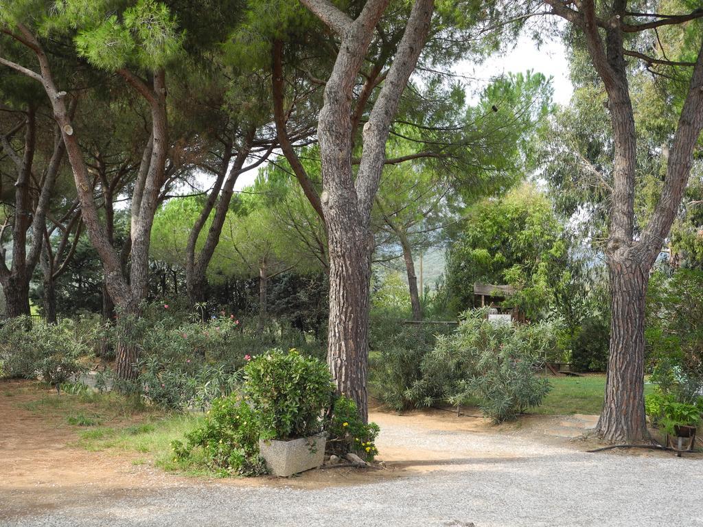 Podere Oslavia Az.Agr.Bio Giannini Alberese Exterior foto