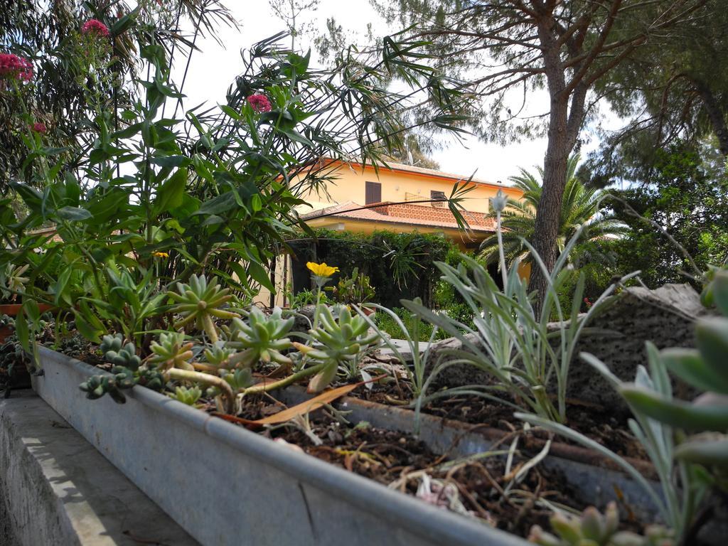 Podere Oslavia Az.Agr.Bio Giannini Alberese Exterior foto